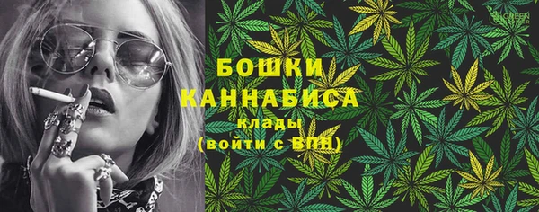 шишки Заволжск