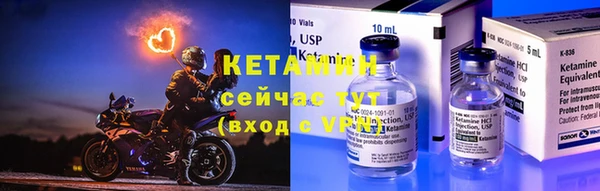 шишки Заволжск