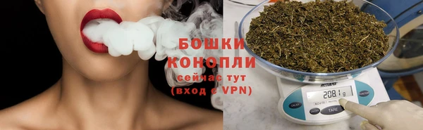 шишки Заволжск