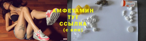 шишки Заволжск
