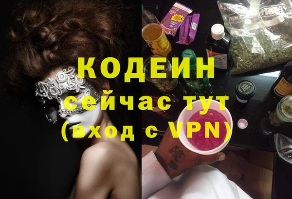 шишки Заволжск