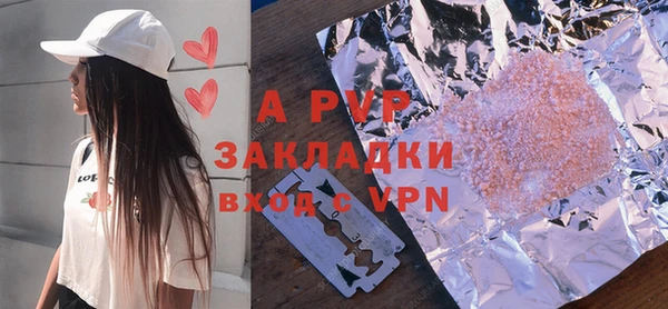 шишки Заволжск