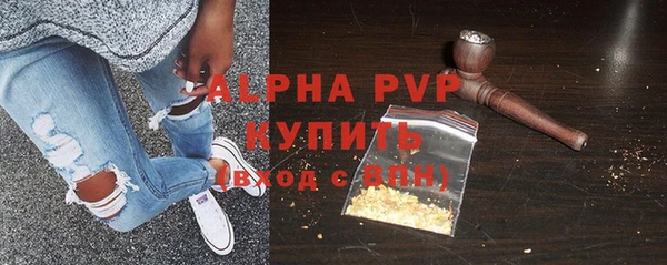 шишки Заволжск