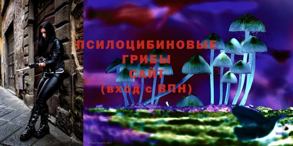 ALPHA-PVP Заводоуковск