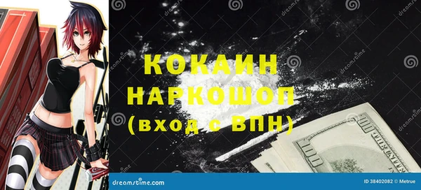 шишки Заволжск