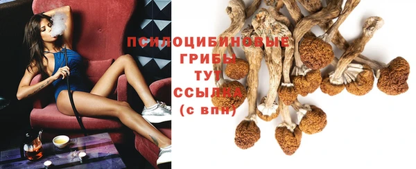 шишки Заволжск