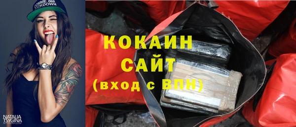 шишки Заволжск