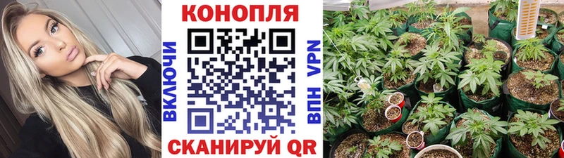 Марихуана индика Каргат