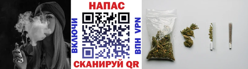 Купить Каргат Шишки марихуана план